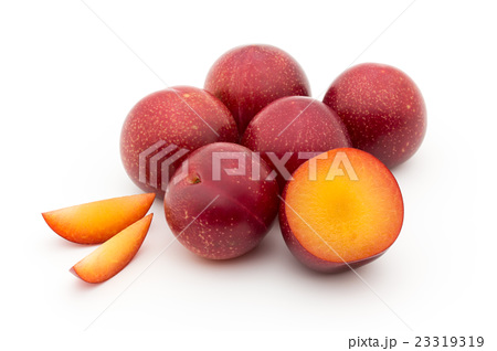 23319319