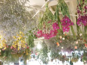 img_20170320_152559
