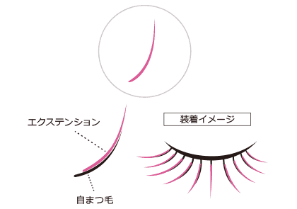 通常のまつげエクステ装着の図解