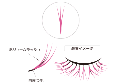 ボリュームラッシュ装着の図解