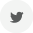 icon_twitter