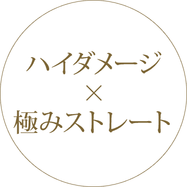 ハイダメージ×極みストレート