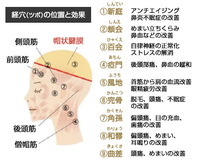 ヘッドスパとは 驚愕 驚きの効果とは 奈良 京都 大阪の美容室 ハピネス ヘッドスパとは 驚愕 驚きの効果とは 奈良 京都 大阪の美容室 ハピネス