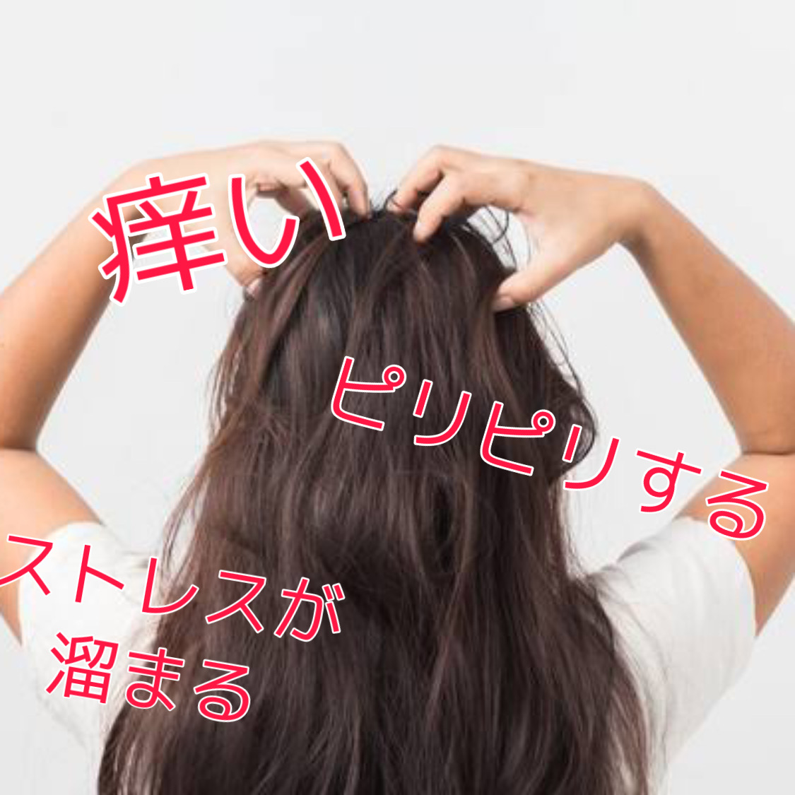 これで頭皮のお悩み解決 頭皮の乾燥 ベタつきが気になる方必見 乾燥ベタつきの原因と対策とは 奈良 京都 大阪の美容室 ハピネス これで頭皮のお悩み解決 頭皮の乾燥 ベタつきが気になる方必見 乾燥ベタつきの原因と対策とは 奈良 京都 大阪の美容室 ハピネス