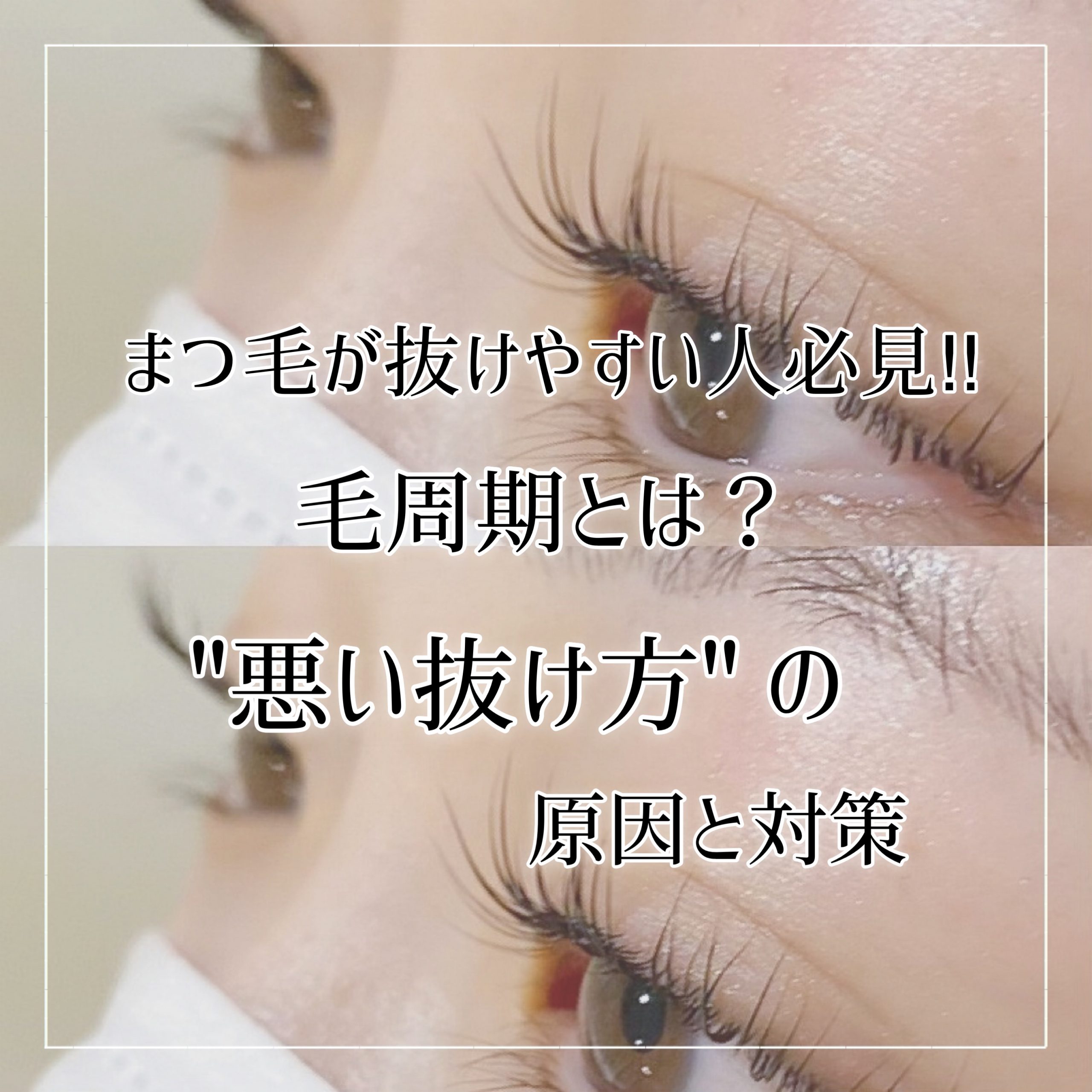 まつ毛が抜けやすい人必見 毛周期とは 悪い抜け方の原因と対策 奈良 京都 大阪の美容室 ハピネス